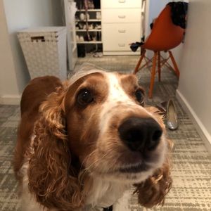 Meet your Posher, Glynis